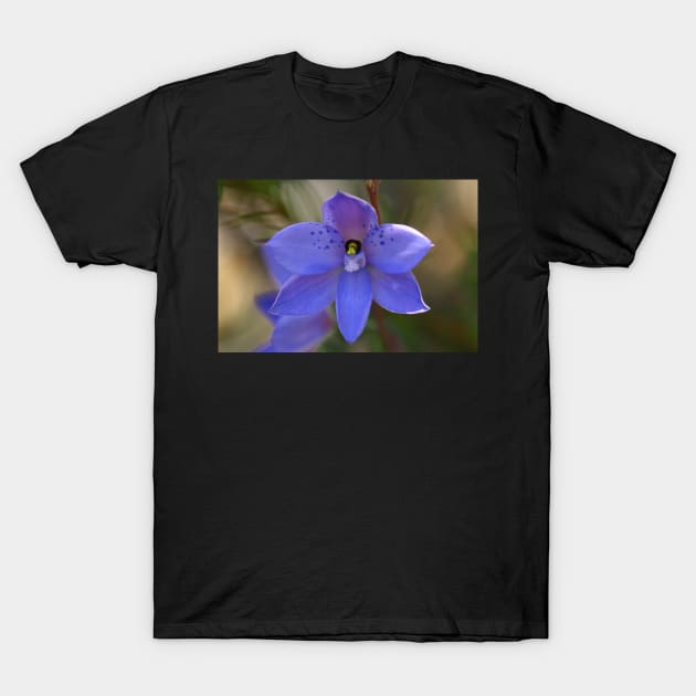 Dotted sun orchid .. Thelymitra ixioides T-Shirt by Michaelm43